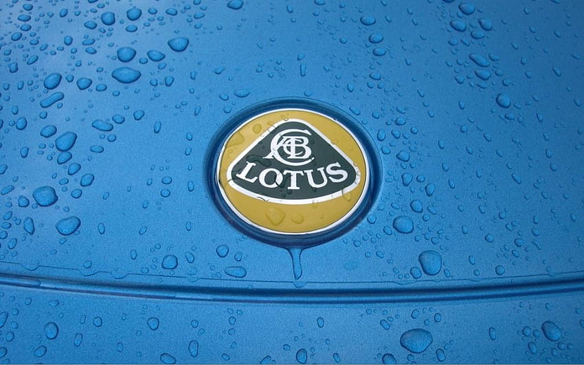 Дъждовни капки върху значка Lotus, дъжд, лого, кола с лотос, дъждовни капки, значка, лотос HD тапет
