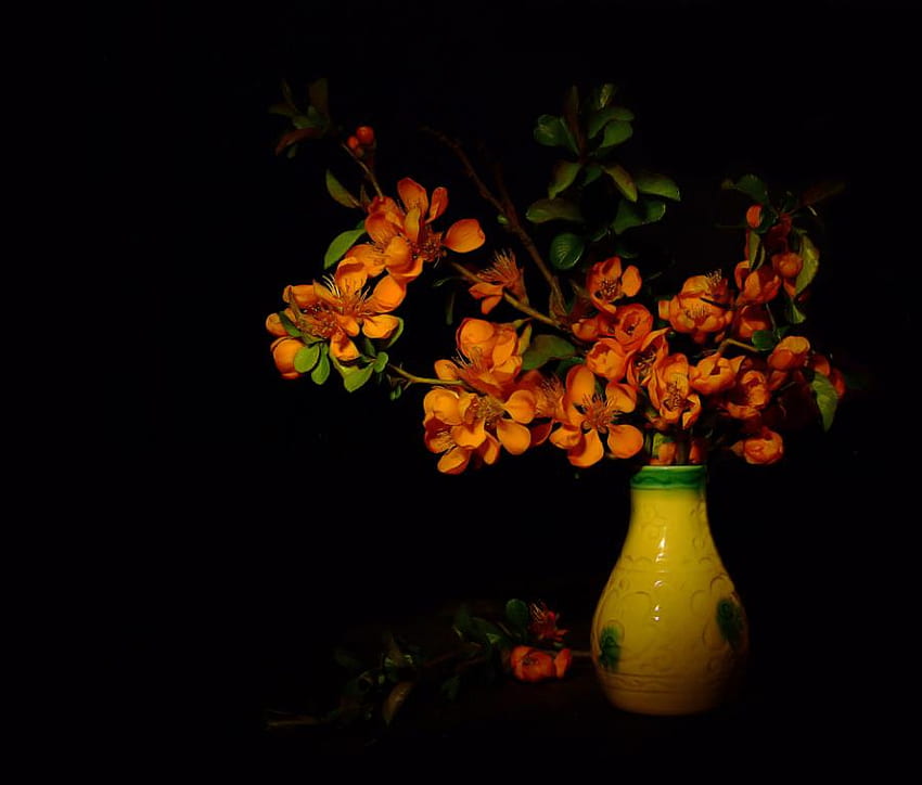 Orange Sun, bouquet, black, vase, orange, bbackground, blossoms, green, yellow, glass, flowers, cut HD wallpaper