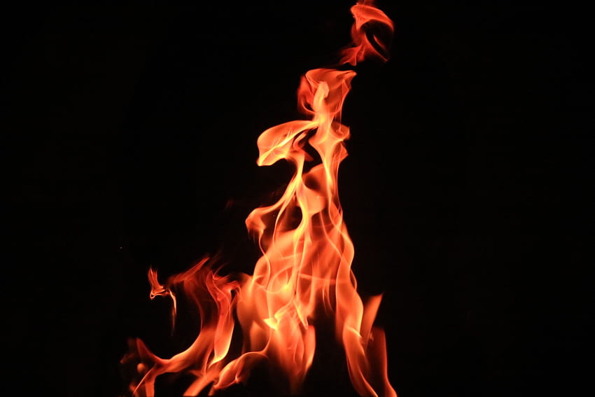 Fire, Bonfire, Dark, Flame, Dark Background HD wallpaper