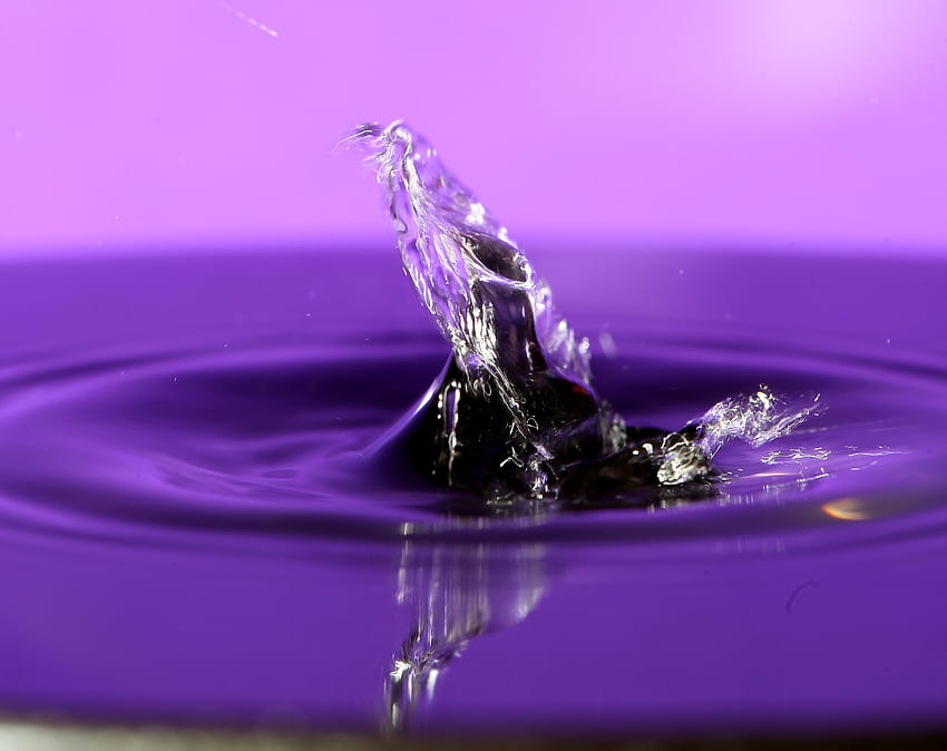 Water, Violet, Macro, Spray, Splash, Purple HD wallpaper