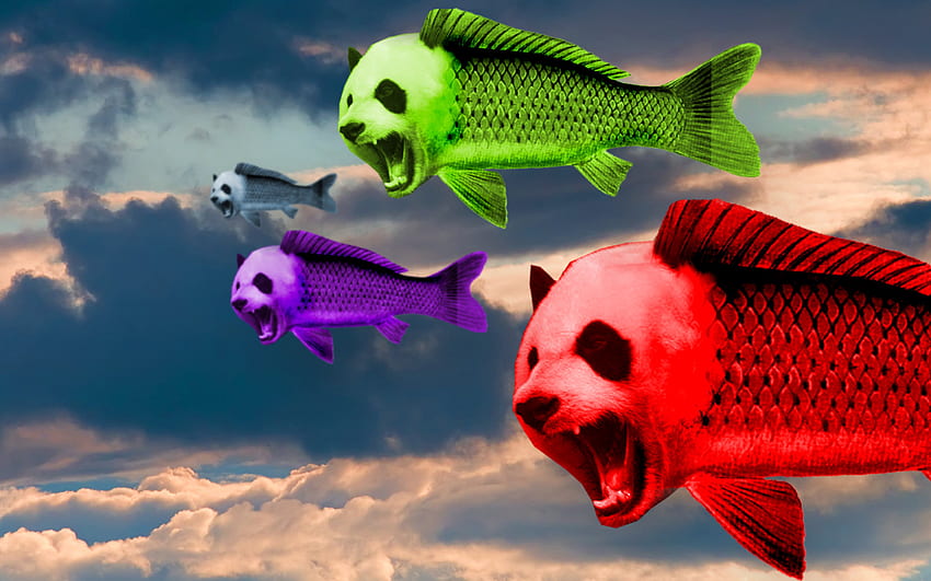 Flying Panda Fish ., Funny Fish HD wallpaper