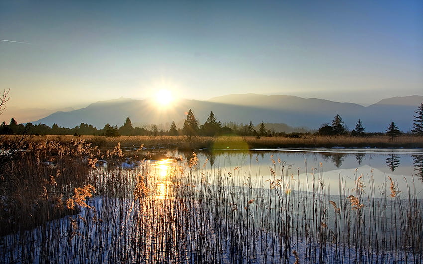 LAKE SUNRISE, rising, morning, plants, sun, lake HD wallpaper | Pxfuel