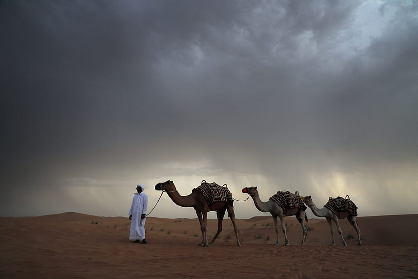/ desert storm stormcloud and camel HD wallpaper