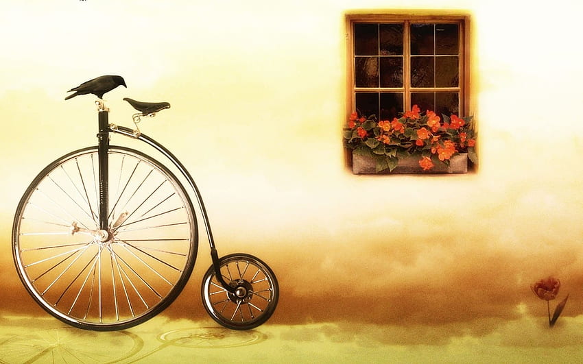 view of a cycle, old, memory, cycle, house HD wallpaper