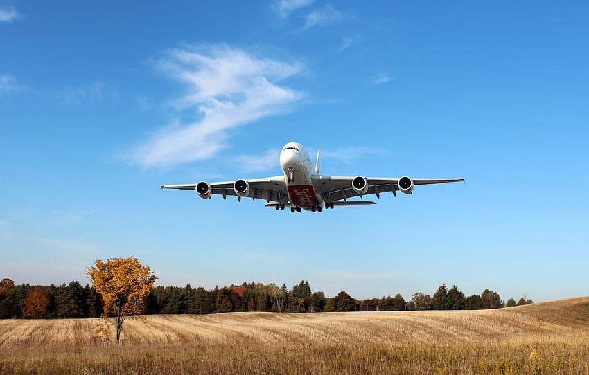 하늘, 들, 하얀, 비행기, 나무, 일, A380, 착륙, 승객, 에어 버스, 공중에, 여객기, 에미레이트 항공, 섹션 авиация, 에어 버스 A380 착륙 HD 월페이퍼