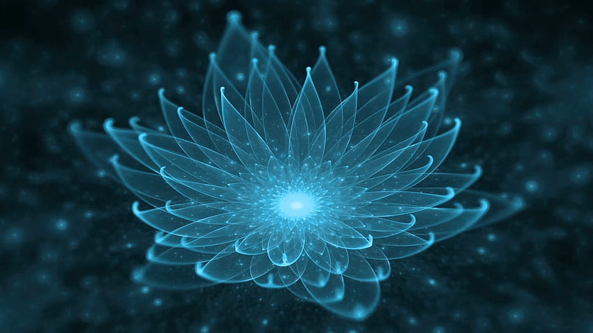 Mavi Lotus, Nilüfer, Aydınlanma, Meditasyon ve Evren HD duvar kağıdı