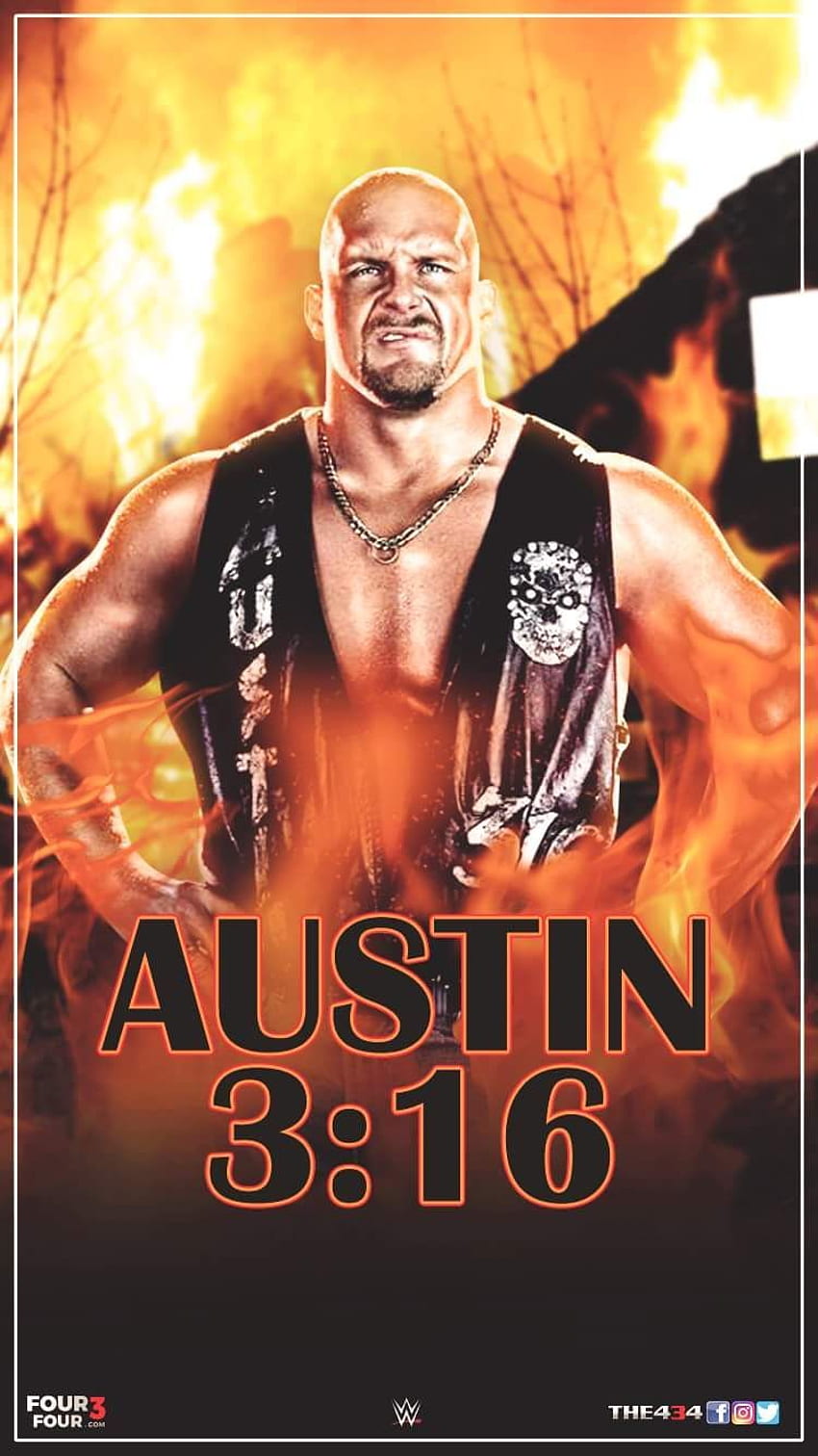 David's wrestling, Stone Cold HD phone wallpaper Pxfuel