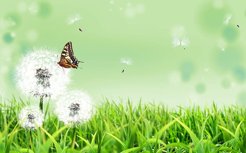 Of Natural Scenery: A Brown Butterfly Flying In The Field. World HD wallpaper