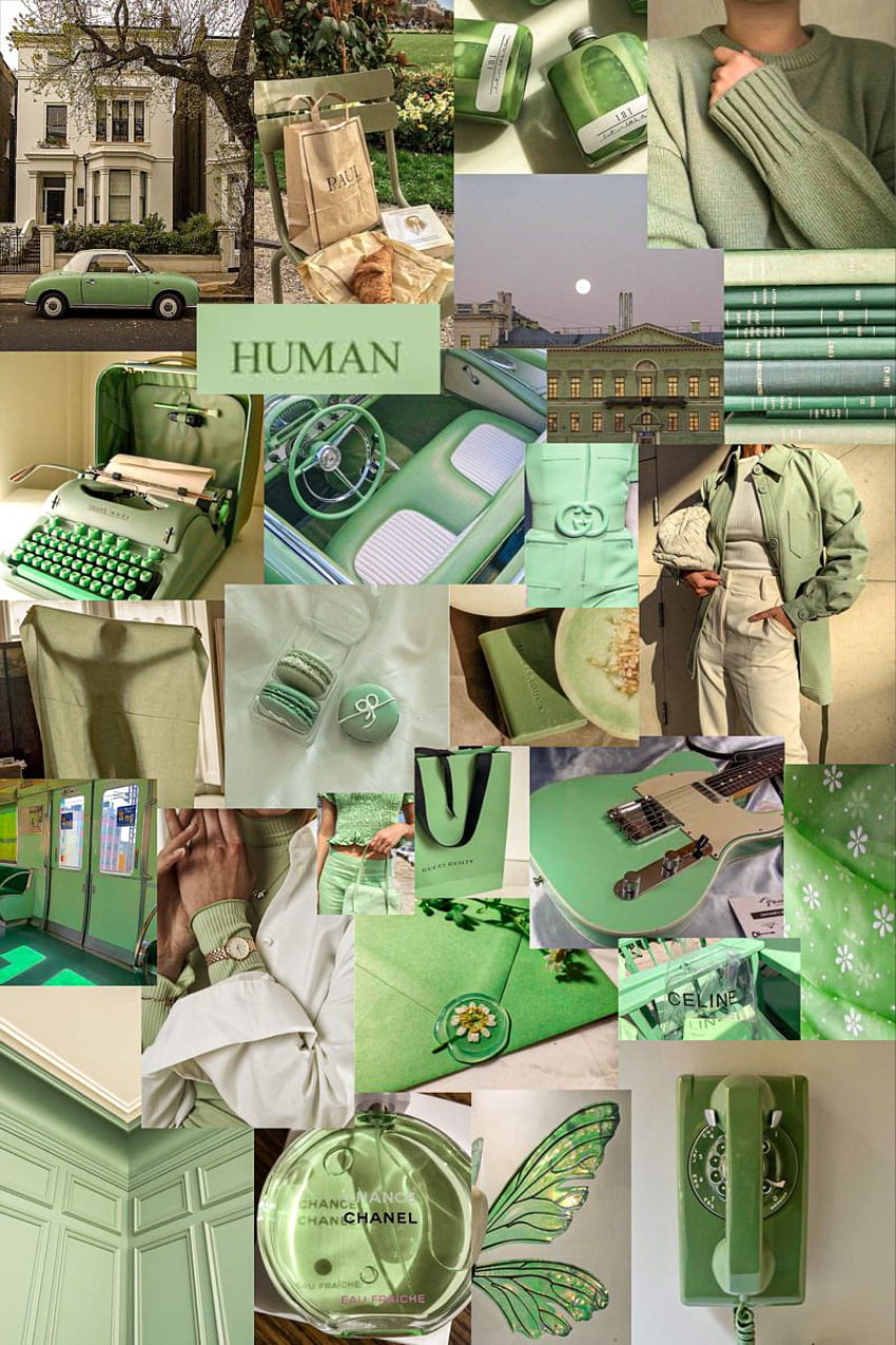 Sage Green x Collage. Sage green , iPhone green, Mint green aesthetic, Sage Green Collage HD phone wallpaper
