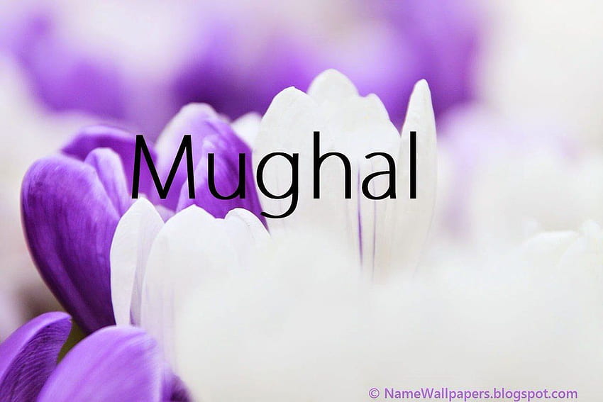 Mughal architecture HD wallpapers  Pxfuel