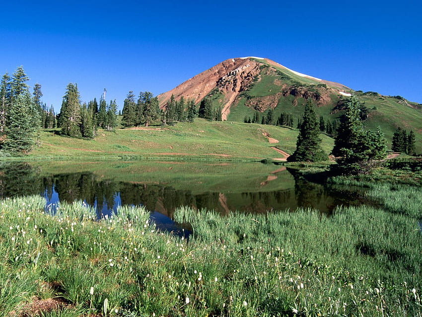 Naturaleza, árboles, Hierba, Montañas, Lago, Verdes, Alpes, Colorado fondo de pantalla