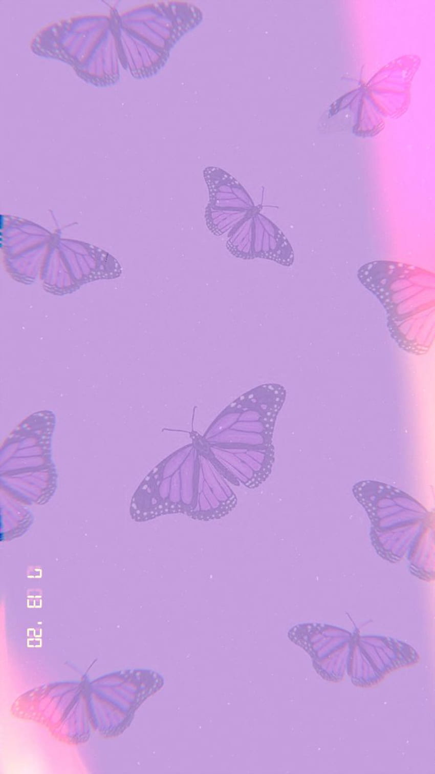 73 Purple Butterfly Wallpapers  WallpaperSafari