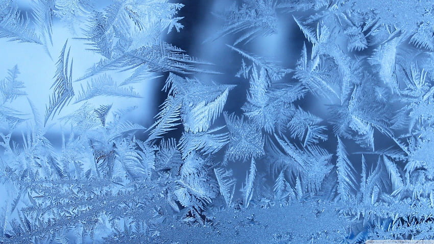 скреж, синьо, боке, зима, замръзнало, графика, ледени кристали, абстрактно, природа, лед, макро HD тапет