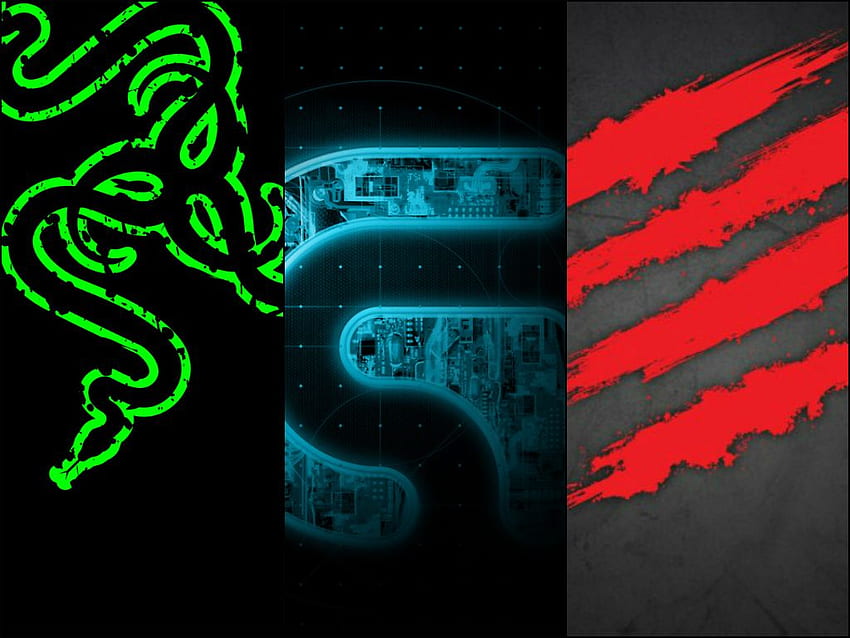 What's in a name? Razer, Logitech, and MAD CATZ HD wallpaper