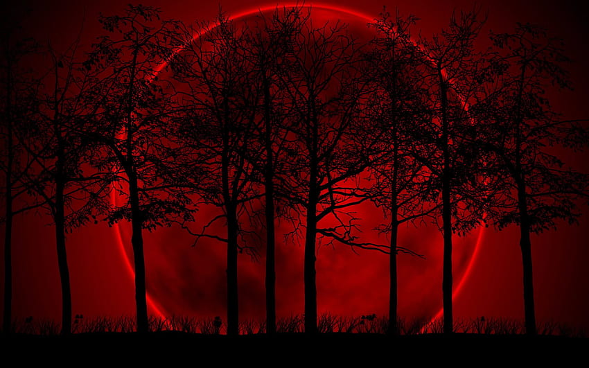 Кървава луна . Пейзаж. Кървава луна, луна, кървава HD тапет