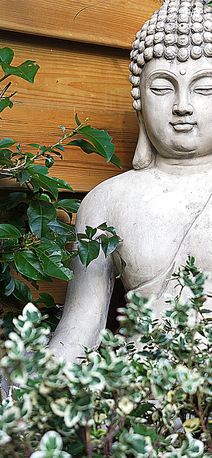 Buddha , Zen Buddha iPhone HD phone wallpaper