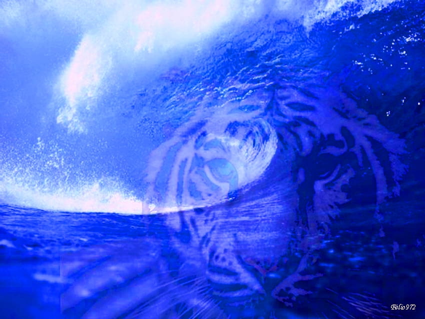 Tiger and wool, blue, oceans, abstract, tiger HD wallpaper