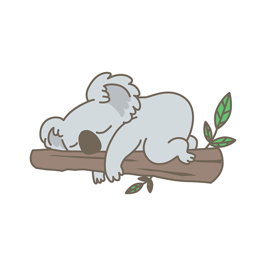 LAZY KOALA BEAR RESTING IN A TREE. Koala illustration, Cute cartoon , Sleeping drawing, Cute Koala Cartoon HD phone wallpaper
