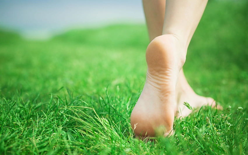 Mood Feet Girl Step Grass Green Nature Background Barefoot Hd Wallpaper Pxfuel 3280