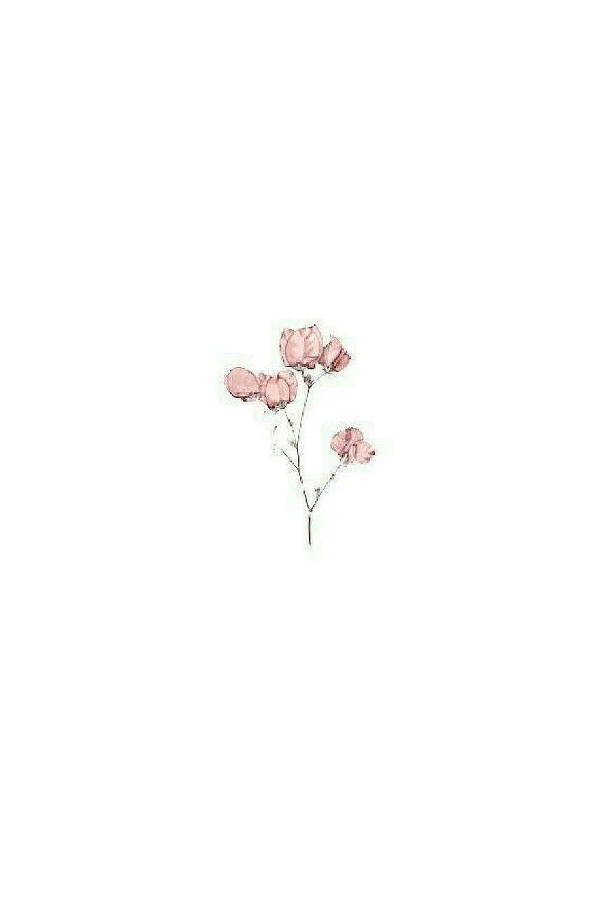Pink Flowers Watercolor Painting Illustration Drawing PNG 660x675px Pink  Flowers Art Azalea Blue Carnation Download Free