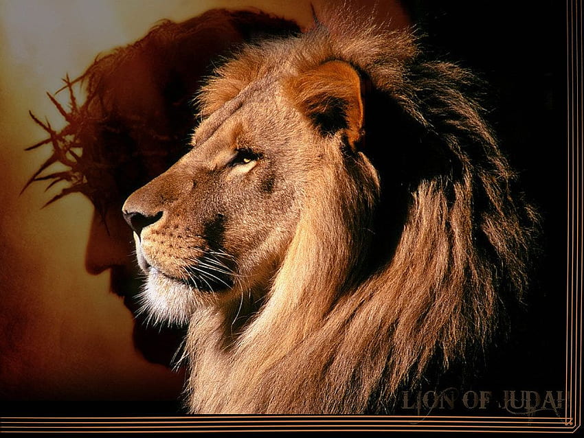 ユダのライオン 高画質の壁紙