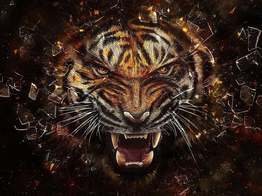 Cool Tiger (1페이지) - Line, Ice Tiger HD 월페이퍼