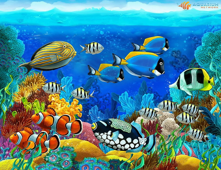 Beautiful Coral Fish Aquarium . Underwater HD wallpaper
