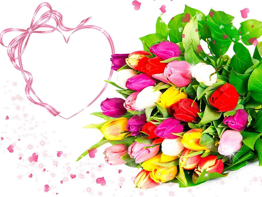 ♡•✿•♡, colorful, bouquet, , tulips, background, pink, love, , flowers, heart HD wallpaper