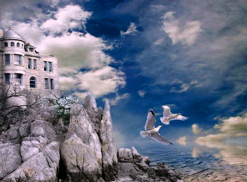 White cliffs, blue sky, birds in flight, white, clouds, mansion, ocean, rock HD wallpaper
