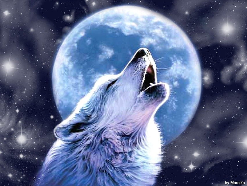 Drawn howling wolf - Pencil and in color drawn howling, Cool Wolf HD wallpaper