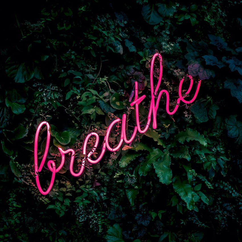 Breathe , Neon sign, Green background, Green leaves, Pink, Quotes, Breathe in Breathe Out HD phone wallpaper