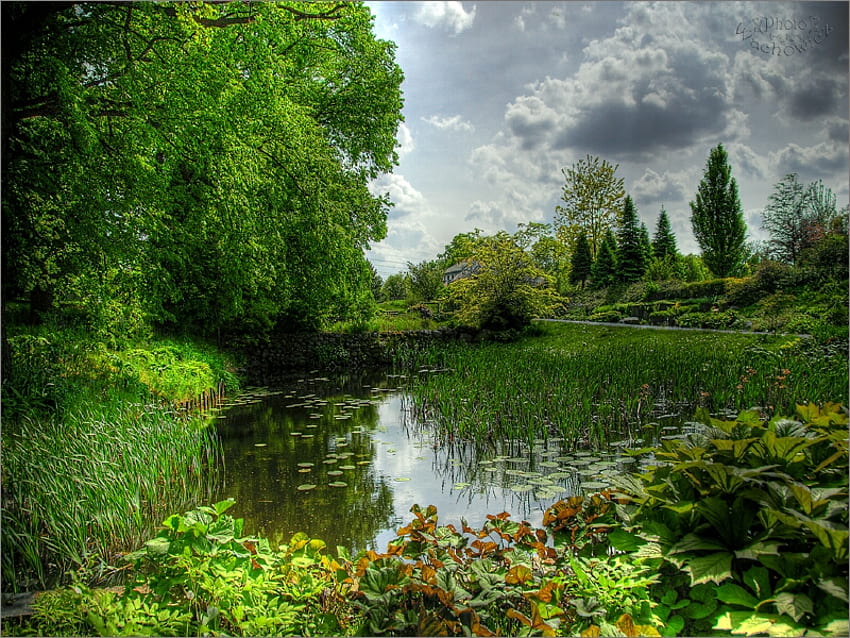 рай в зелено, зелено, рай, езерце HD тапет