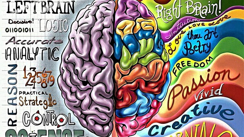 Imaging cerebrale. Cervello, arte del cervello Sfondo HD