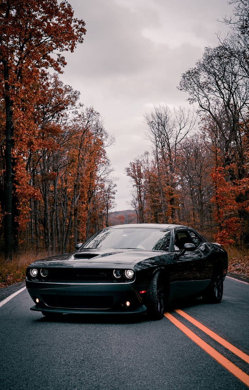 Challenger, negro Dodge Challenger fondo de pantalla del teléfono