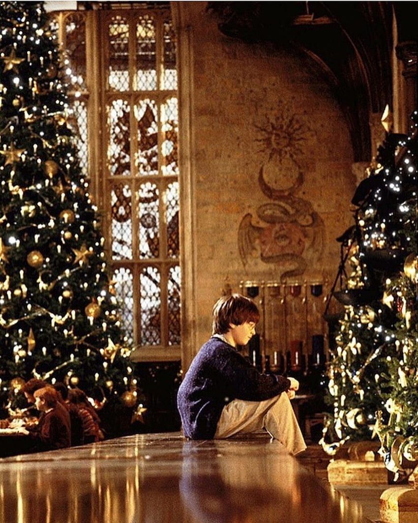 Aesthetic Christmas Harry Potter in 2021. Harry potter , Harry potter , Harry potter, Christmas at Hogwarts HD phone wallpaper