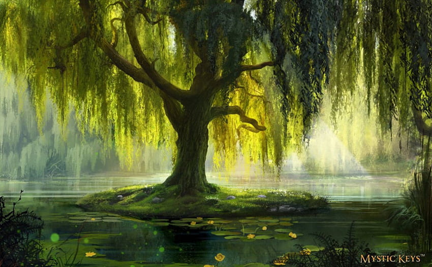 The Willow Bath, willow, abstract, art, tree HD wallpaper
