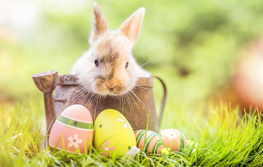 Happy Easter!, rabbit, bunny, egg, yellow, green, easter, card HD wallpaper