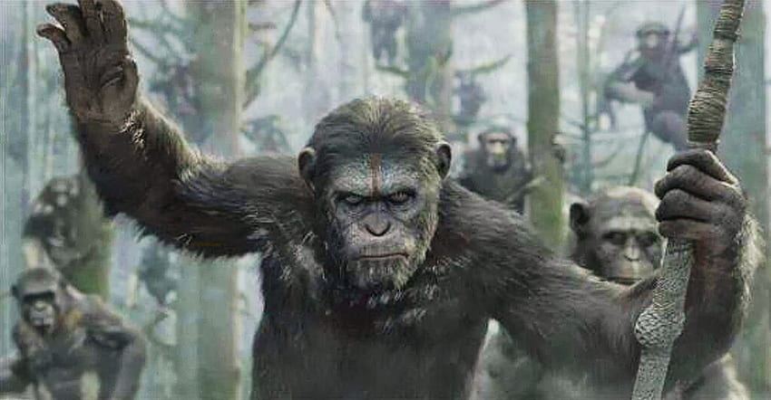 Зората на планетата на маймуните 2014 Най-добър, Войната на планетата на маймуните HD тапет