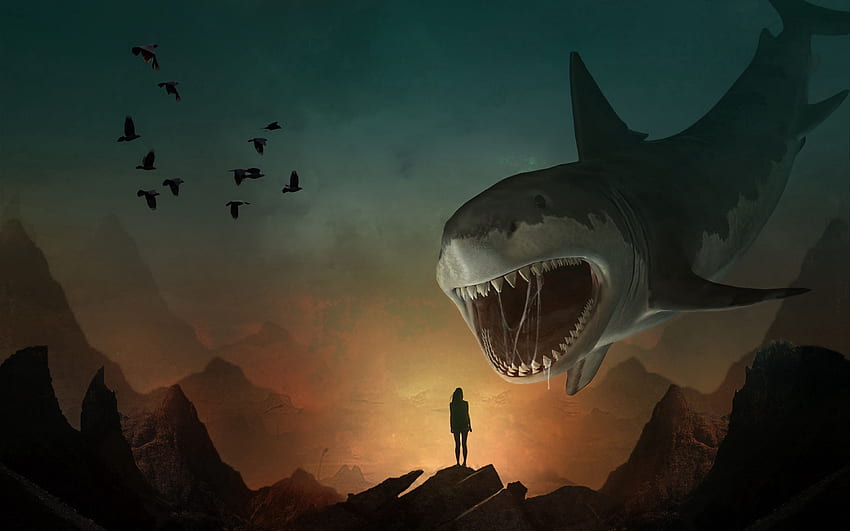 silhouette, shark, art, mouth, Shark iPad HD wallpaper