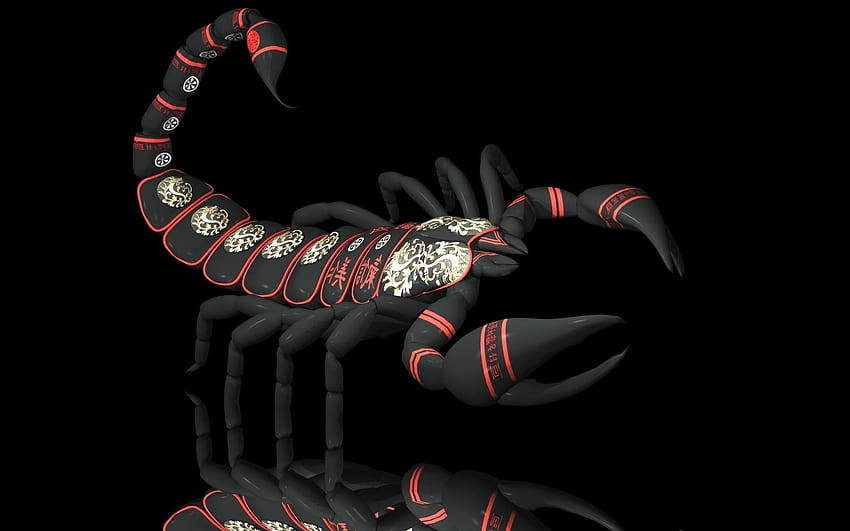 Scorpion characters asian oriental insect fantasy, Cool Scorpion HD wallpaper
