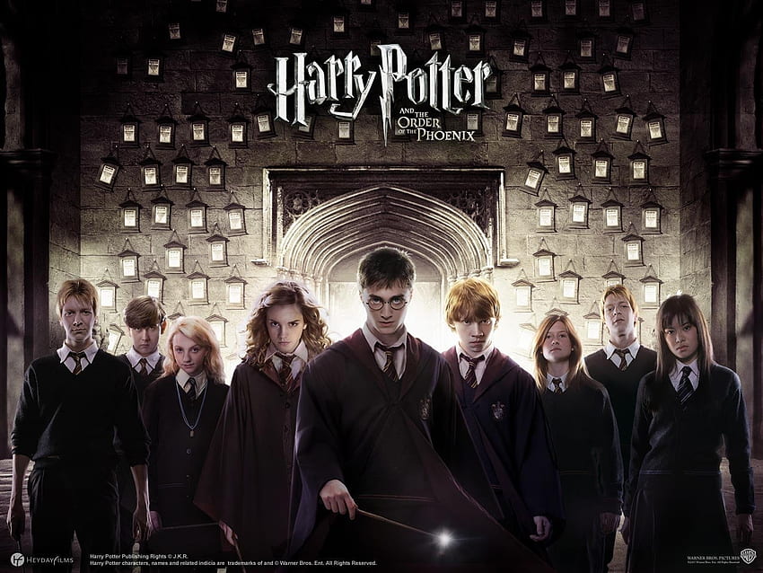 Harry Potter Wszystkie Postacie, Grupa Harry'ego Pottera Tapeta HD
