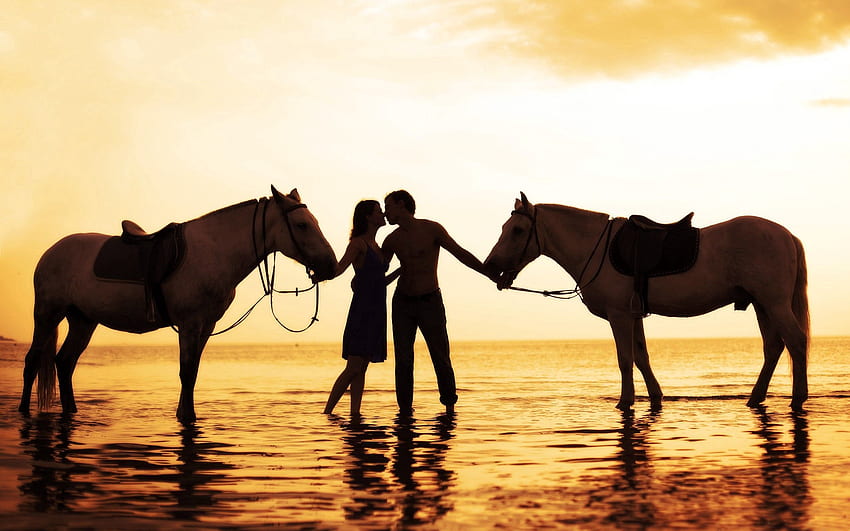 Sunset, Horses, Sea, Love, Couple, Pair, Romance, Tenderness HD wallpaper