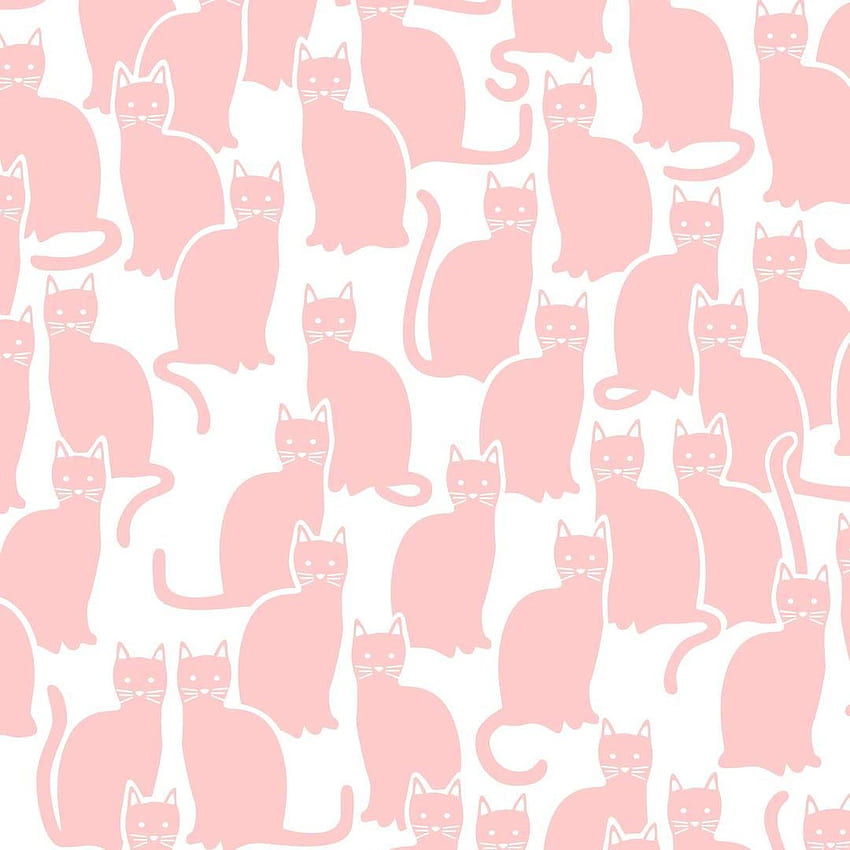 Sitodruk Shadowcat w kolorze brzoskwiniowym „Peachy Pink on Soft White” Tapeta na telefon HD