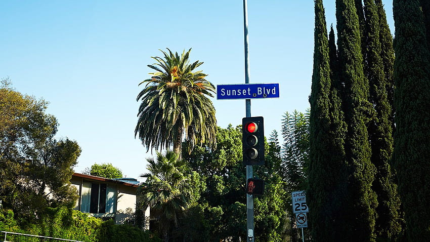 Sunset Boulevard: Atrakcje na słynnej jezdni Los Angeles Tapeta HD