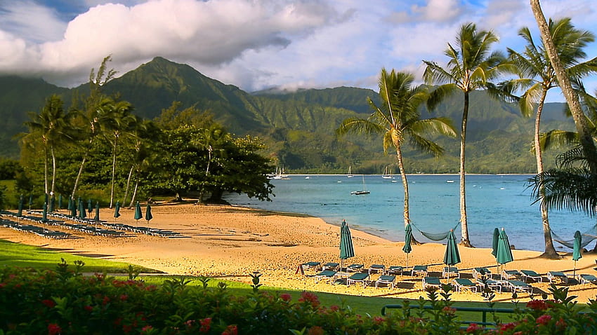 belle plage hawaïenne, palmiers, salons, bateaux, plage Fond d'écran HD