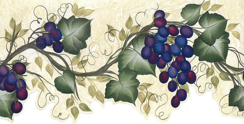 Fleur De Lis Living Timms Fruits Grapes on Vine Scalloped 15' L x 10 W Border, Grape Vine HD wallpaper