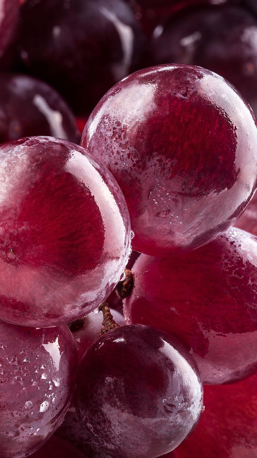 Grapes Berries Ripe iPhone 8, Burgundy HD phone wallpaper