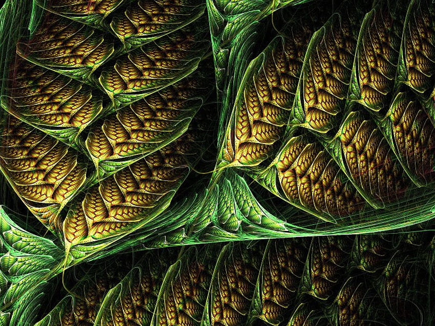 Seed Pod Fractal ฝัก เมล็ด เศษส่วน สีเขียว วอลล์เปเปอร์ HD