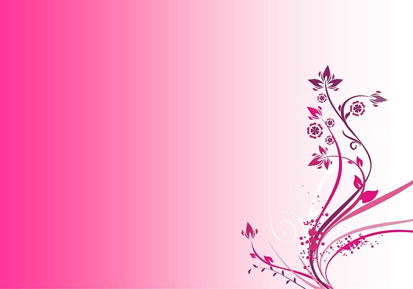 Cool Pink Background. in 2019. Love pink, Plain Pink HD wallpaper