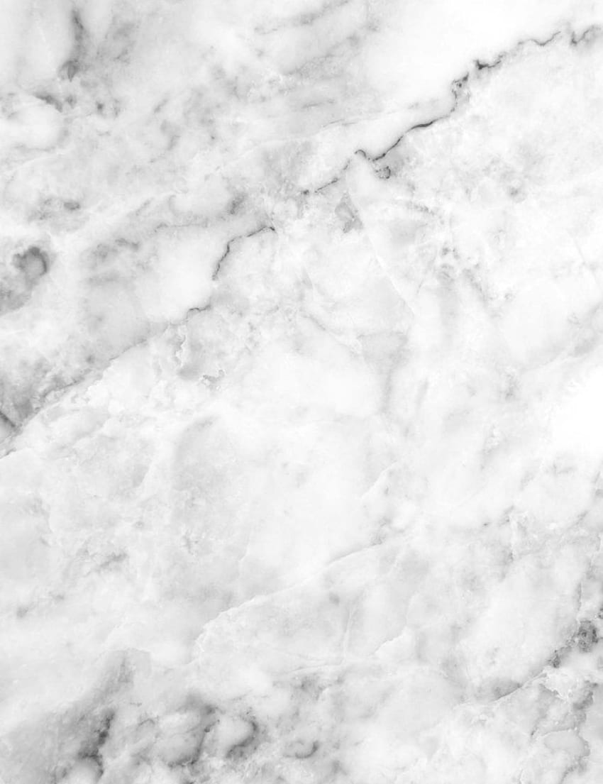 Pavimento in marmo bianco come la neve con trama della linea nera Old Master, marmo grigio e bianco Sfondo del telefono HD
